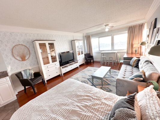 113 senate plaza studio apartment in columbia sc