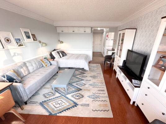 113 senate plaza studio apartment in columbia sc